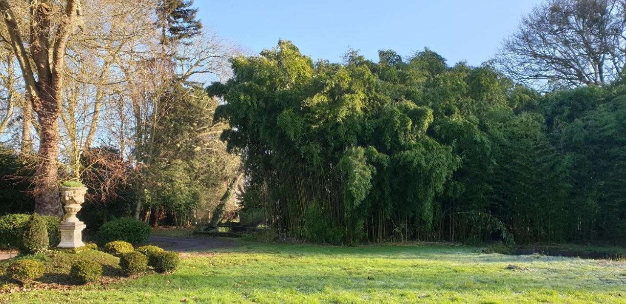 La Villa Des Arts Savigne-l'Eveque Zewnętrze zdjęcie